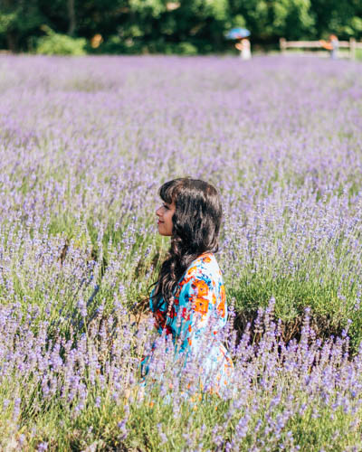 Instagrammable Day Trip: Lavender Fields Near NYC