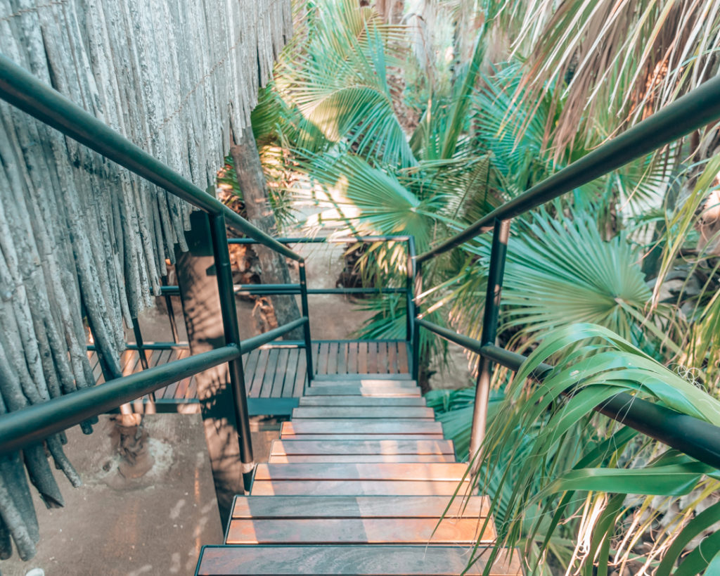 Acre Baja. Staying in a luxury treehouse hotel in Cabo Mexico #treehouse #luxurytreehouse #treehousehotel #luxuryhotel #cabo #mexico #sanjosedelcabo #designhotel