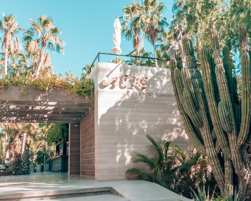 Acre Baja. Staying in a luxury treehouse hotel in Cabo Mexico #treehouse #luxurytreehouse #treehousehotel #luxuryhotel #cabo #mexico #sanjosedelcabo #designhotel