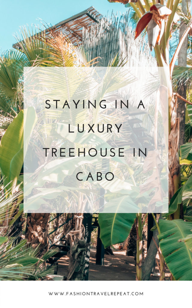 Acre Baja - Staying in a luxury treehouse hotel in Cabo Mexico #treehouse #luxurytreehouse #treehousehotel #luxuryhotel #cabo #mexico #sanjosedelcabo #designhotel