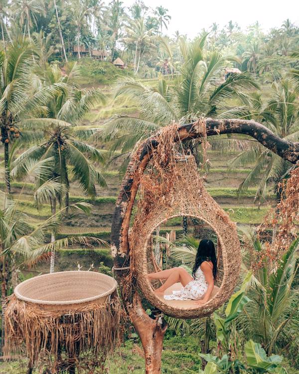 Woman sitting in giant bird's nest overlooking rice terrace