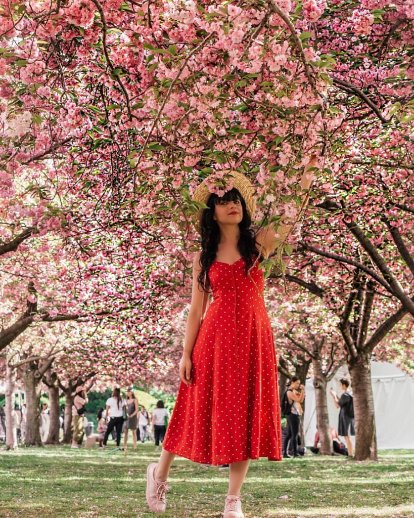 Woman standing under pink cherry blossom tree
