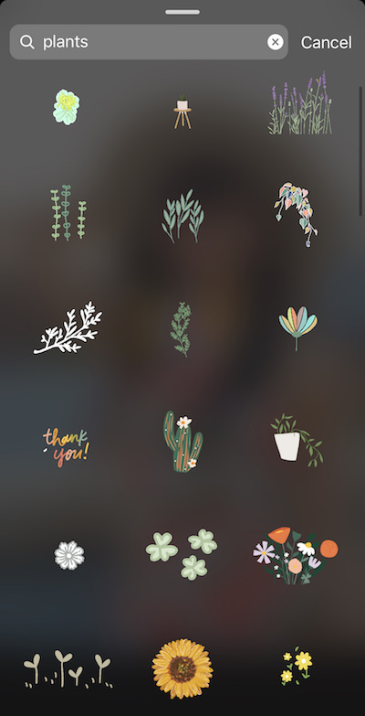 Screenshot of Instagram showing how to find plant Instagram story stickers / GIFs