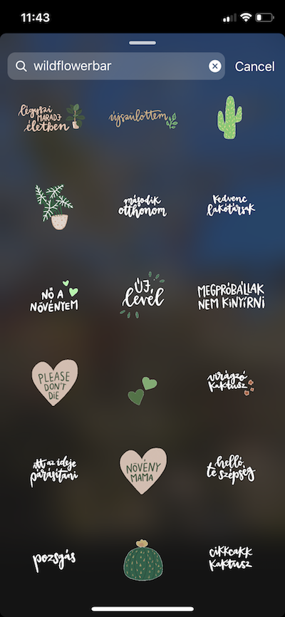 Top hơn 95+ stories instagram stickers đẹp nhất - ACTV EDU