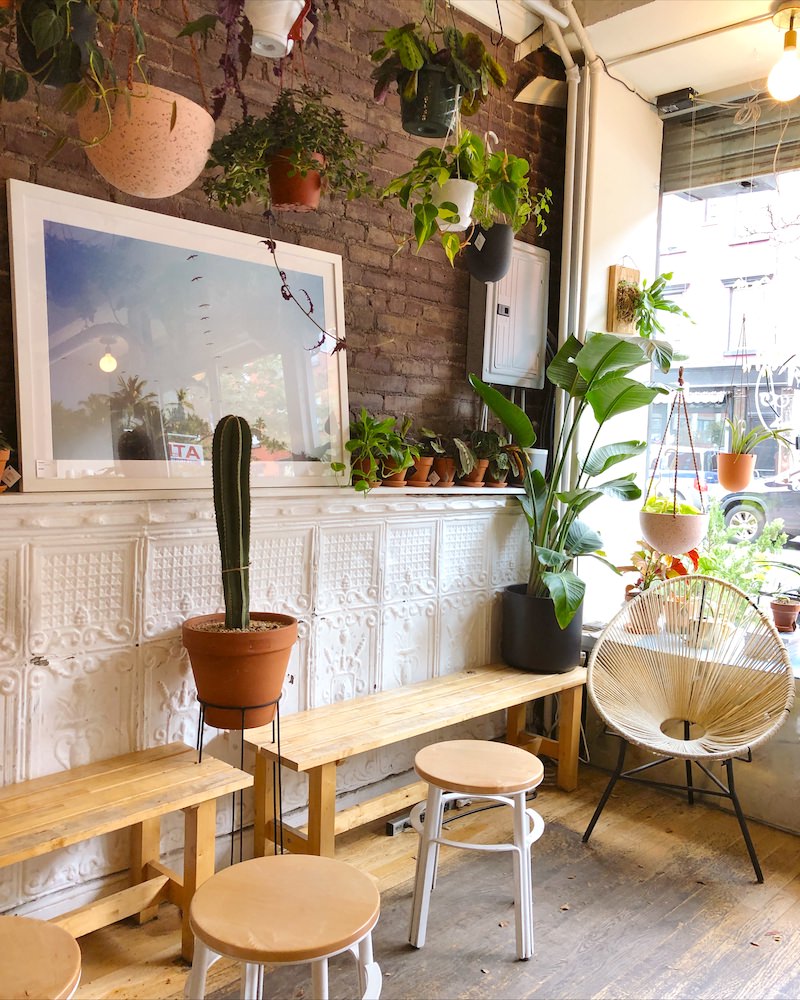 Interior of a Brooklyn coffee shop with wood and rattan furniture and many green plants.