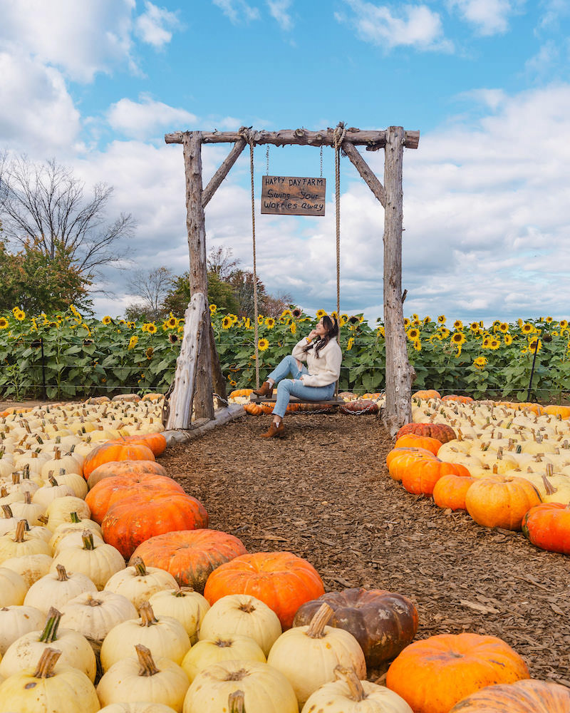 A brunette woman sitting on a wooden swing at a pumpkin patch called Happy Day Farm in New Jersey, one of the best day trips during fall in NYC.