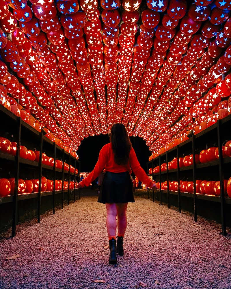 A brunette woman facing away from the camera. She is standing under an orange arch made up of carved and illuminated jack o' lanterns at The Great Jack O' Lantern Blaze.